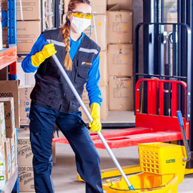 Windows and appliances cleaning